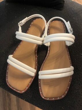 Cushionaire Sandals (Virgo)